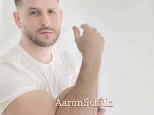 AaronSchulz