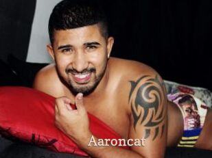 Aaroncat