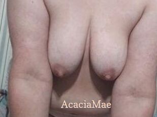 AcaciaMae