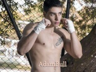 AdamBull