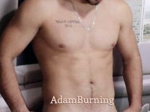 AdamBurning