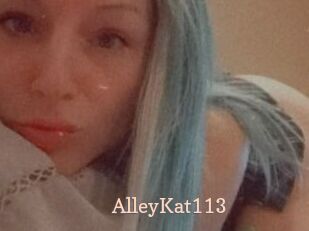 AlleyKat113