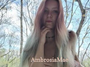 AmbrosiaMae