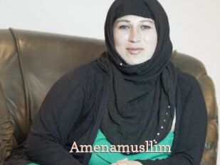 Amenamusllim