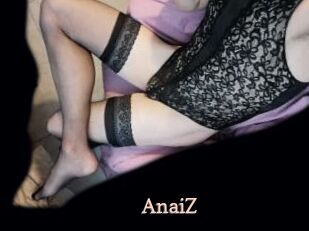 AnaiZ