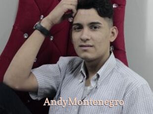 AndyMontenegro