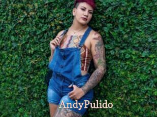 AndyPulido