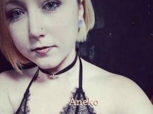 Aneko