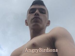 AngryBirdions