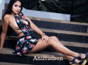 AniHudson