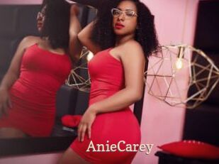 AnieCarey