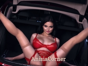 AnisiaCorner