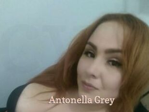 Antonella_Grey