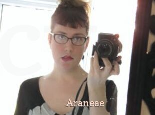 Araneae