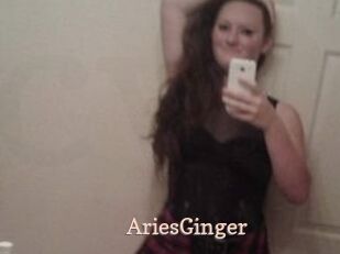 AriesGinger
