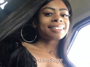 AriesSage