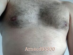 Arnaud95300
