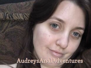 AudreysAnalAdventures