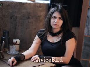AviceBird