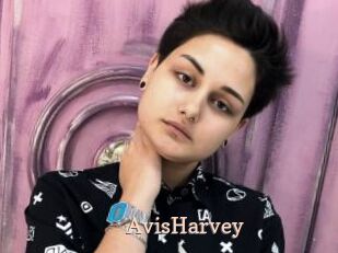AvisHarvey
