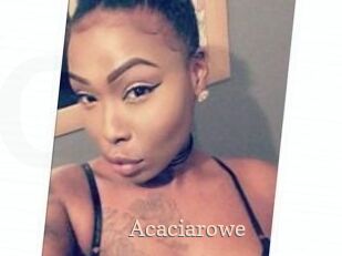 Acacia_rowe