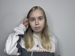 Accadavidge