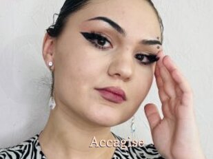 Accagise
