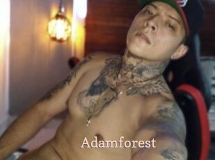 Adamforest