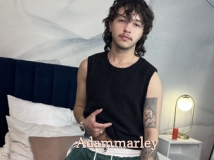 adammarley Chaude Vision