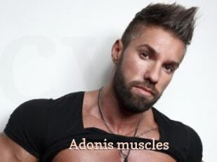 Adonis_muscles