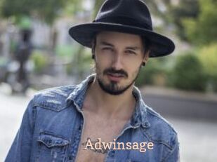 Adwinsage