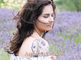 aerinbaudelaire Chaude Vision