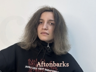 Aftonbarks