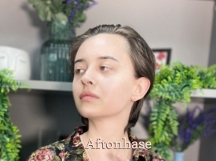 Aftonhase