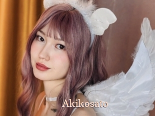 akikosato Chaude Vision