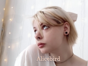 Alicebird