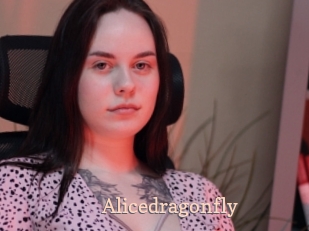 Alicedragonfly