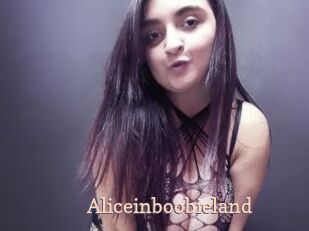 Aliceinboobieland