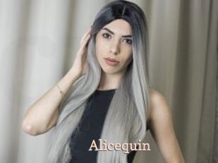 Alicequin