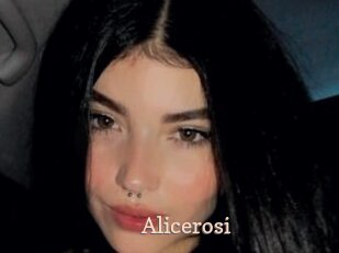 Alicerosi