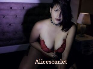 Alicescarlet