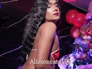 Alissoncats102