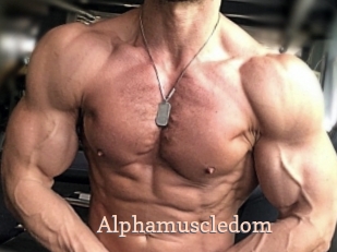 alphamuscledom Chaude Vision