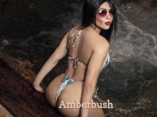 Amberbush