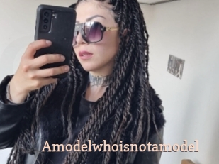 Amodelwhoisnotamodel