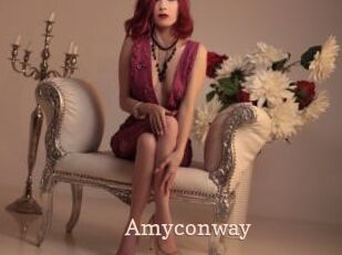 Amyconway