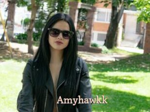 Amyhawkk