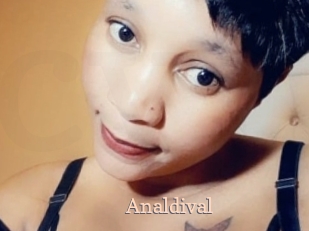 analdival Chaude Vision