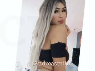 Andreasmiitt