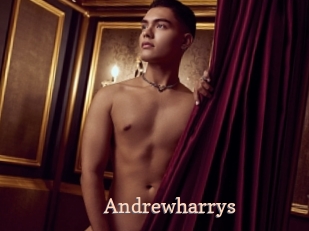 andrewharrys Chaude Vision